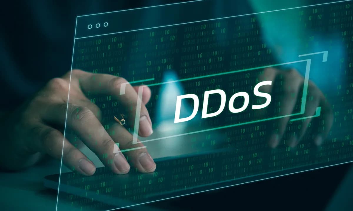 Distributed Denial of Service (DDoS)